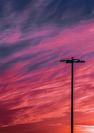 2020-02-20/7023706b4f0ef7fbdfd5b22d0959d34e_b44c7f90e50db3a08f7171412cabd70c