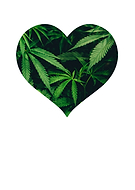 2020-02-26/381133034fff45392ffaa11844617952_489663c725f7514c18d13598ace83634