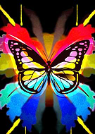 2020-02-26/56d66b5e8344fd4276e77c290c5a3c41_d9d90cc464c81b31ce25dba17185fea5