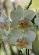 2020-02-29/47adfd37ee2c598587817339bc5d0b97_b078c23066187fa9f587657784465cec