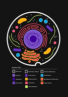 2020-03-03/4f5bbcc90a2526132a2f502bbbcfd6bd_3eceefdf329e3284bc018d1e9332e5ed