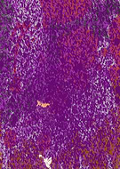 2020-03-05/d4e673c7a6305d0aec9f11a8dcaa09a1_0677f0871d7f7bbea77d41f1d84240ff