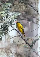 2020-03-06/64875d41e25b33a6ecc07556e214ce5d_4cef0aa17476eae695c52fff59216a50