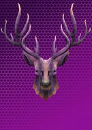 2020-03-06/8e58bbd6bfa8a996f7407f467491afce_3d776d4cae39c4fb040aab8e03245813