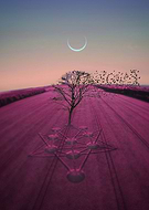 2020-03-08/30ec3bccdcc6269f8c30b825afeca6f7_5d068e59f17108ae98b5c96b5125eb46