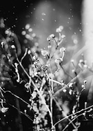 2020-03-08/4b95fa6ba4caf9b961b3cc60f07ac4f5_5b6136ebee20f23e0af5432e053f5100