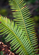 2020-03-08/929ddc2a0e821a230e52440cf498fbc6_2ec4048f0674b7be5423534b87a54fe9