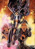 collection-preview-3