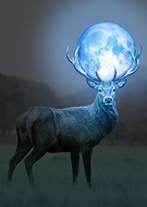 2020-03-10/f4abb13fa444816e2e519e91e8d22912_6cb3408c9645ece755ba0293a195ebc6