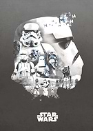 collection-preview-2