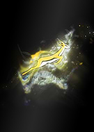 2020-03-13/74a9e27e81a72cf9def9e0f717859312_4ce9c044785ae836814b1eba97ea283f