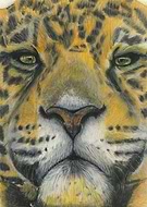 2020-03-14/9b2642e164211ff4afa40ba985bcac42_1be53bd6dc1acef47c0e50a08d3e8cad