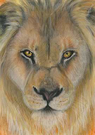 2020-03-14/de2eadfd19117857fdd1681fb3683bb7_06aee09b0c4d0c9460edf57bab352087