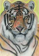 2020-03-14/fe9bc3e523842c96ae8c8cb252dd2fc8_e90b2cd2123feae8e8bf32732bf1562d