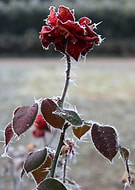 2020-03-17/2e91902c7a9c993797a7282bc7a549af_5c3698e46ebcb9b9230770c8cb00edee