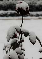 2020-03-17/407e71025947010907c398c16ad8f2a7_fbad888d0de5a226584b6b950d3ff0bc