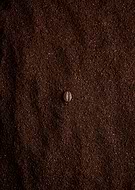 2020-03-22/8ce51ce1cd8b372a474d51c0e517807a_e1f279c5c0b47a483b571c70eb304e03