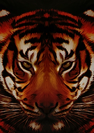 2020-03-22/dbba68ae3f5f17e231722f7b57bba567_89496a189aacd96363586b2af0ea5cb4