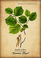 2020-03-23/395db90c30466a70c862b80d844c5a48_47944a1476bf22455634c7bc13a9c4e5