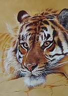 2020-03-24/84b03bf6724308afd8f86fcb571b9c1e_e76802fe398951c672bd6170fce7c304