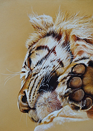 2020-03-24/8cdcdeeee11f18d50a9d54a96b3abe16_727d76d26f4a31f4780b4e00b31dd66d