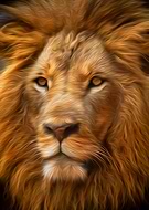 2020-03-24/f448159148445269dcf1c233ef7d6708_b6416dafb3468b14ea7a127aecac4190