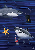 2020-03-25/13c573dbfd739c660cef8c56594c45f0_d228286de69a840cf4dce1c0458a01d0