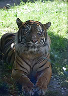 2020-03-26/bbc6fa0cfdb516d73f1d8526669787e9_7f0204358496bd17d4cb60ac30271b48