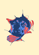 2020-03-27/1f06a48a64a05c1fc93758cb987db64a_afbd8522effef6a78e0b8dfdc79d4f86