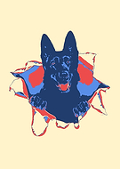 2020-03-27/c2185f7921474fe099e254ca6eaf5341_1843b45470d2e8cd656aa78949909d13