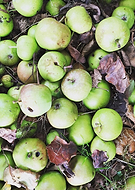 2020-03-29/90d3bbb75ddd5d672276fdfe4113b52f_a24ea2e15500f248dcb3cfc3ae11752f