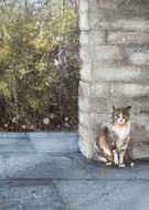 2020-03-31/cd8f9dd53616a1ba98934307a4e225b3_d7ad66f6517c85e08ea5a6b31936d4a7