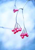 2020-04-01/2788d65e362c6c0786ba64bc89cbcacb_4bc5996cd8eb9985622cab9920aba8c6