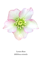 2020-04-01/28c5b869addbd11b04e9def79a30399c_73fd9a91a9c925305261944d3d9dab6a