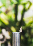 2020-04-01/d2d3a482986040afbb237c27ca5639d1_a497bf9a81b1cf501168305b05117bc7