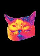 2020-04-02/06cfc5fb09a79bee58770ba10917eb78_fb5882072636d431f1961ddec9041ac8