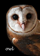 2020-04-03/a19c02e340535d21822651f1ccc90bd3_4594360a959f1e128fa1a4401f7bf722