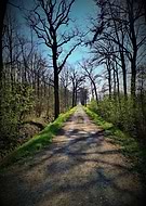 2020-04-05/e5f74c85dc46fc964b10ece1577c75b8_e8d9badf5e9a8cce8fa62718e2d92906