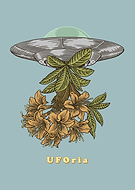 2020-04-07/2a6f9607346100d7e2a7f74edde1de03_206be66a3a60c79c4ec899d983d2735e