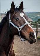 2020-04-07/3c65c067918d9bea9ed1d2d6ec9d722a_ebfe4f57806b975d9904584031405879