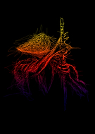 2020-04-07/50e6214c889618897b2f7097323b12ad_468b364f751bb0046a63eb4c9561abb6