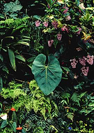 2020-04-07/8840e595adb729157816eca6931f4397_e0e3e32eb65dcbf5b4e2ab373a37a659