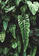 2020-04-07/af9c7319032dfa37927ac81eda65e5df_cdc455caf6d1c746abbb838cca0ce57f