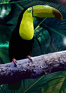 2020-04-09/870eef96c230cc7465250c6b440065fd_4ddf4d11818549b4810415d2f64f2ba2