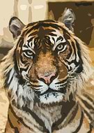 2020-04-09/bd74f207d194c2e4a265ff981be41768_1f977a6b3b49b97c7889cc895156b4ec