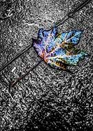 2020-04-10/7bcb1ba6a8718ef77b8090f8c5f2ca65_00844d8055463776ec4f54af354e5e0d