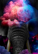 2020-04-10/858fa7b594cb07ea1a86095b391449c1_afa88eb4ac564d1dabcaf51f4b05065a