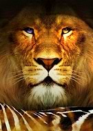 2020-04-10/d0872ad9fe035c9db61525e59909ad76_9214f7cb456ed7bdab2293bbefd9199c