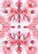 2020-04-11/73543bf656f2340379cb7279769d7268_024acb83cea7fcd81f0e1cbb4286b80a