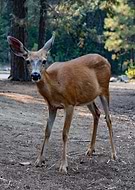 2020-04-11/eeb875c71a630f7e53e73c455a4c0817_097e2ac2c98a4c4029ffb4d414ed3e61